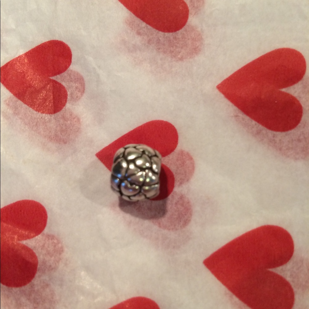 Pandora charm